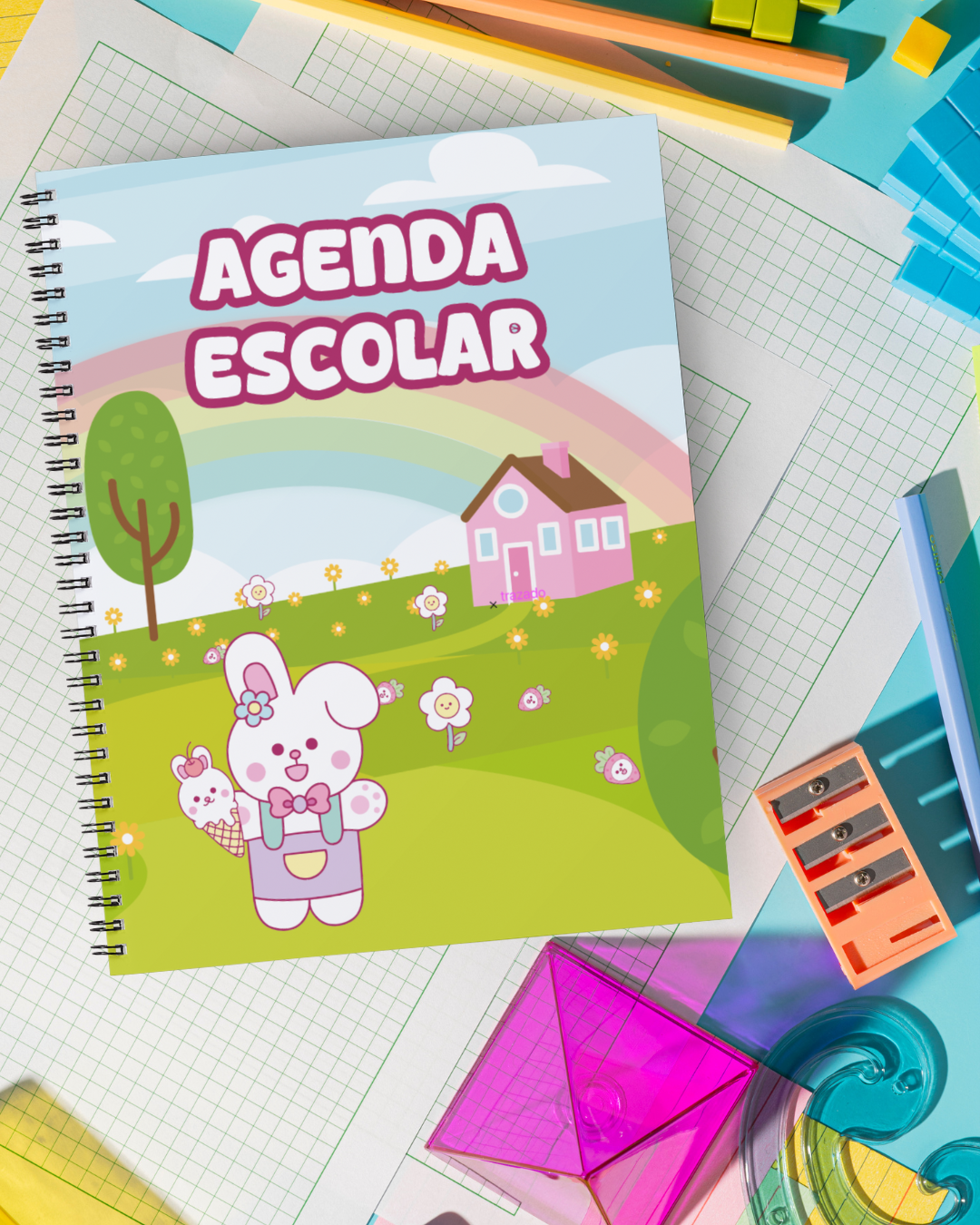 24AE- Conejito en el Campo