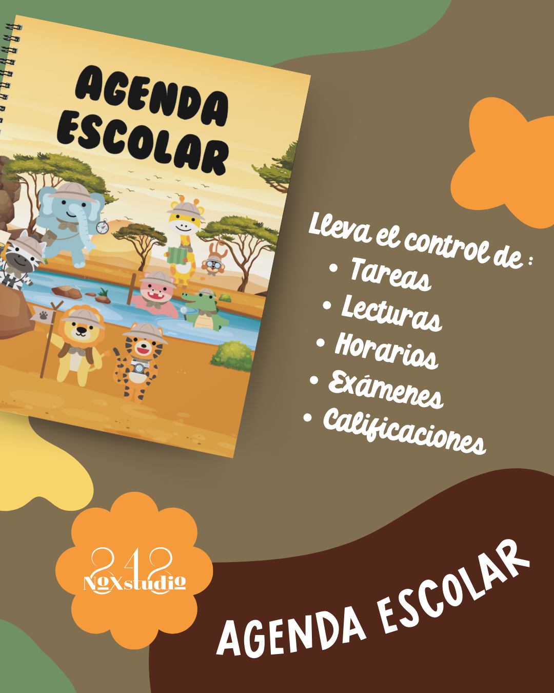 12AE- Safari