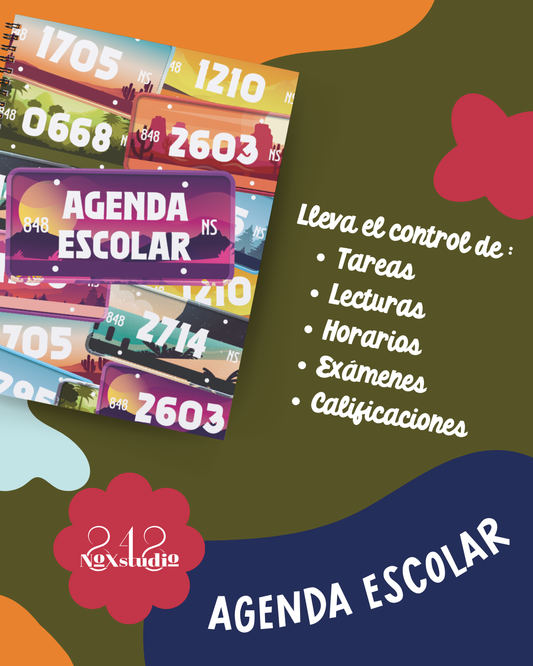 08AE- Placas de Coche