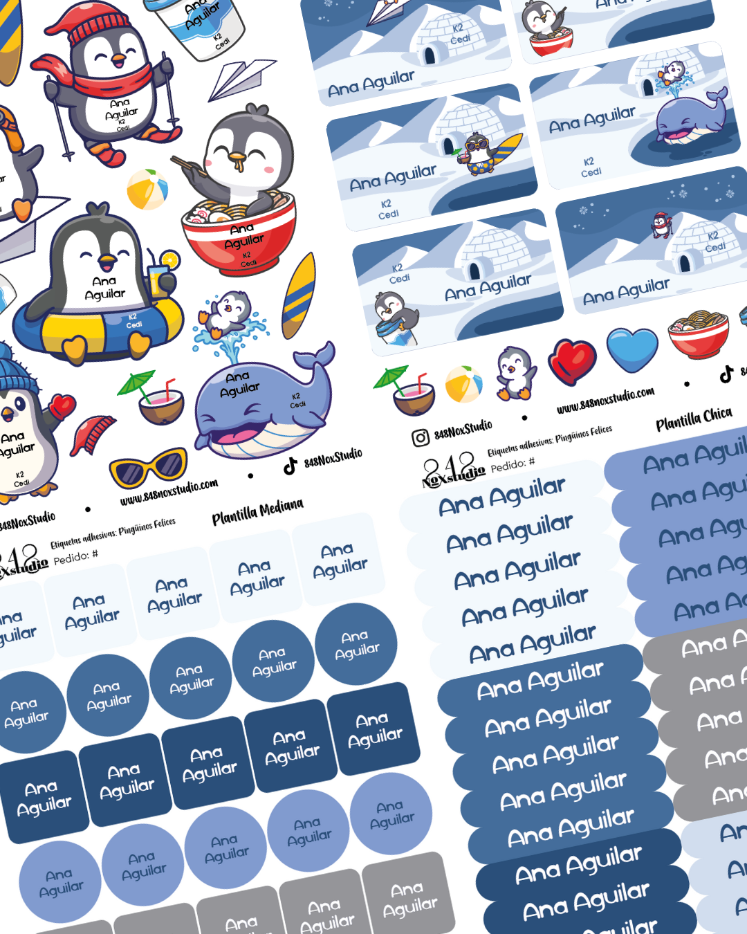 14EA- Pingüinos Felices