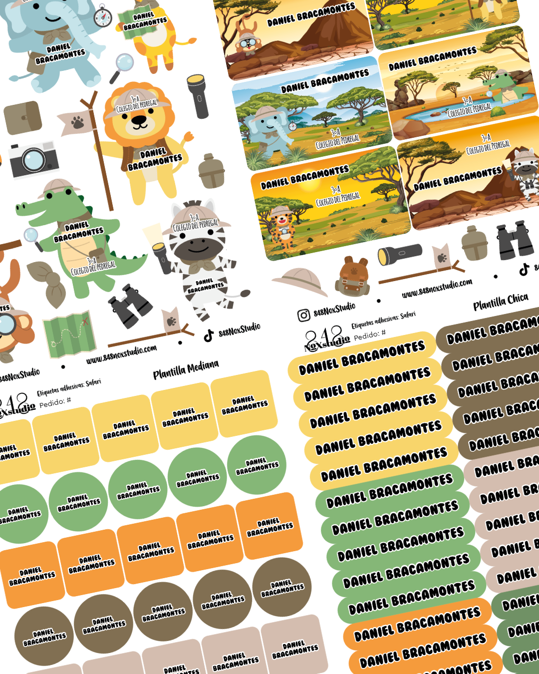 12EA- Safari