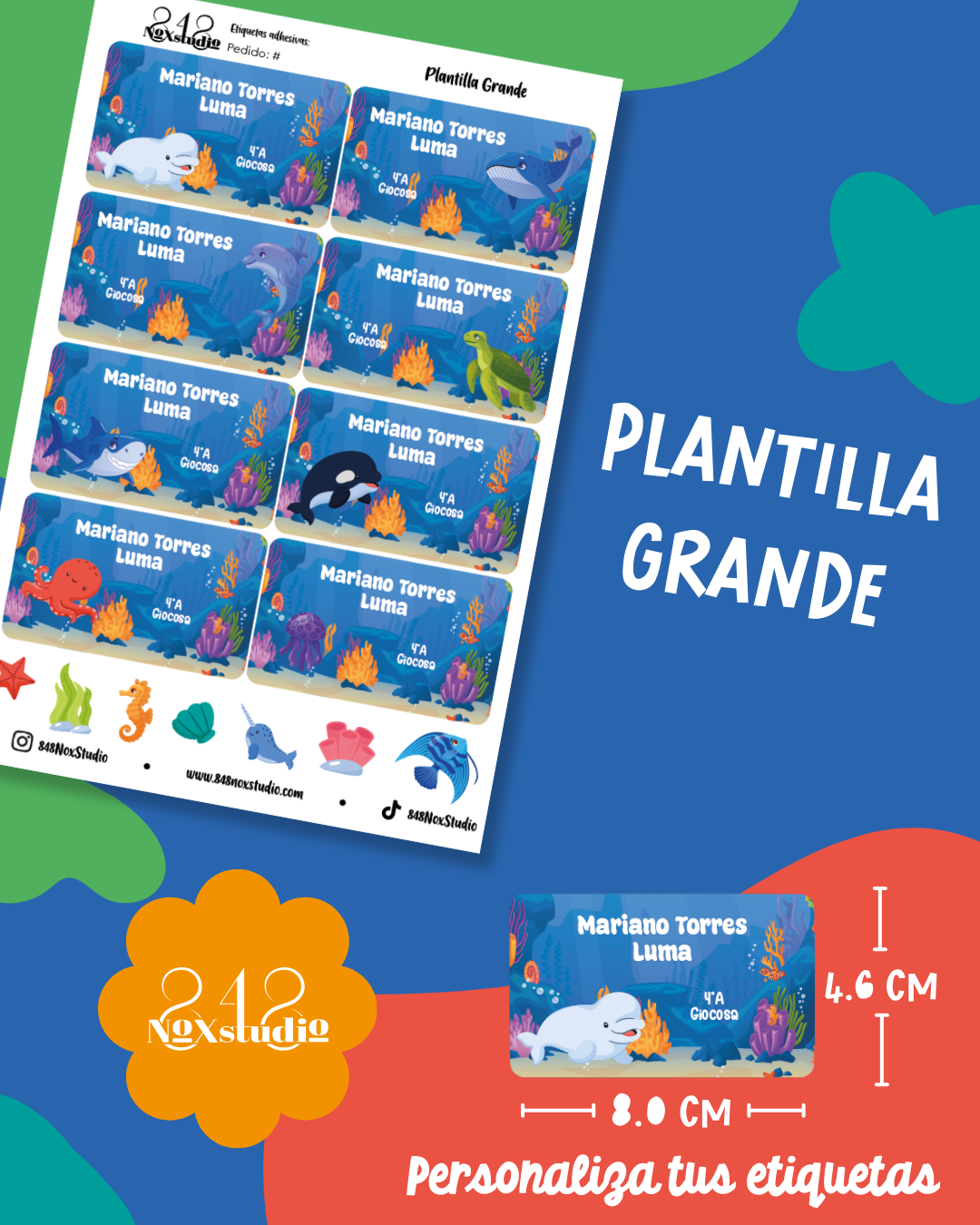 35KITE- Animales Marinos