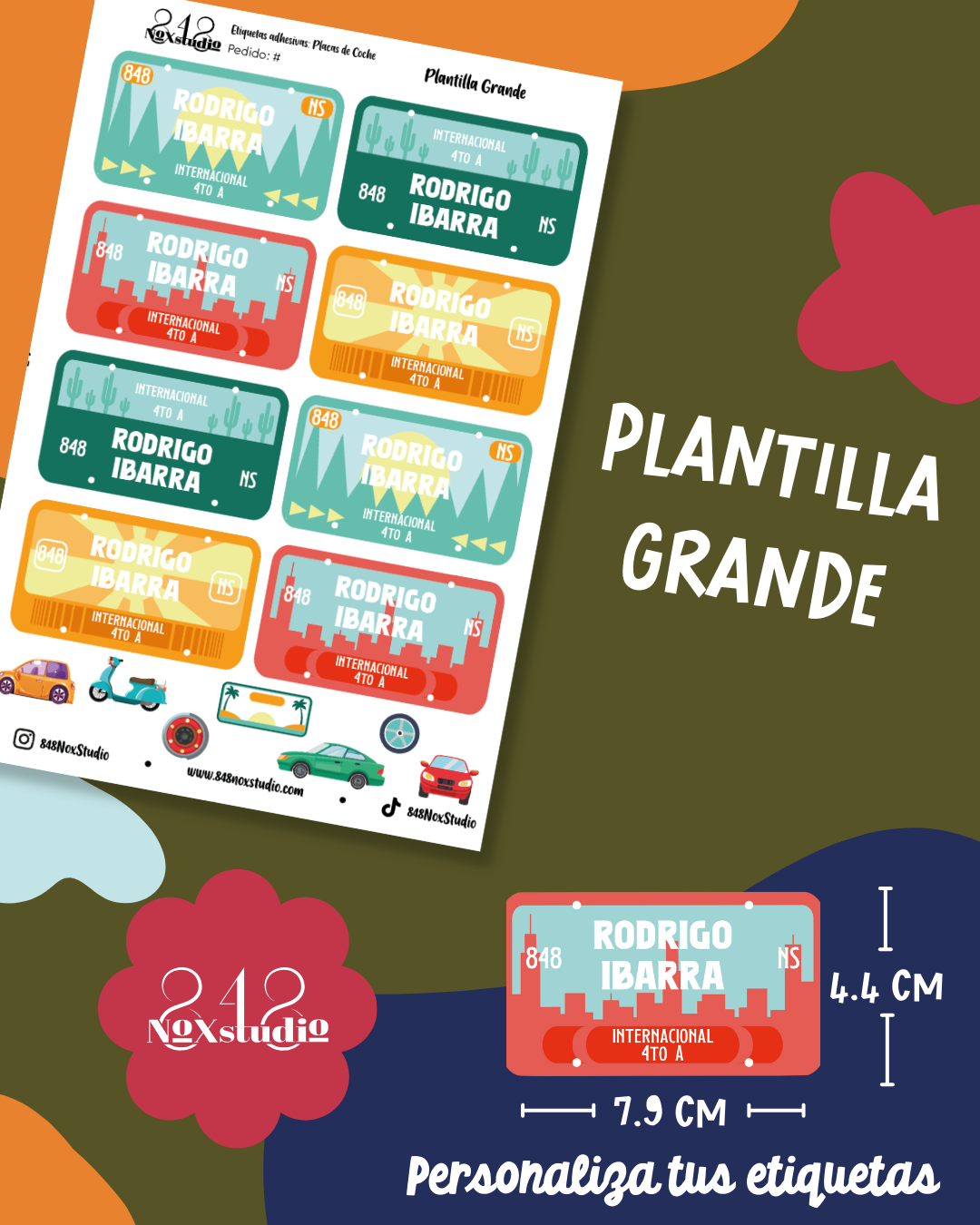 08EA- Placas de Coche