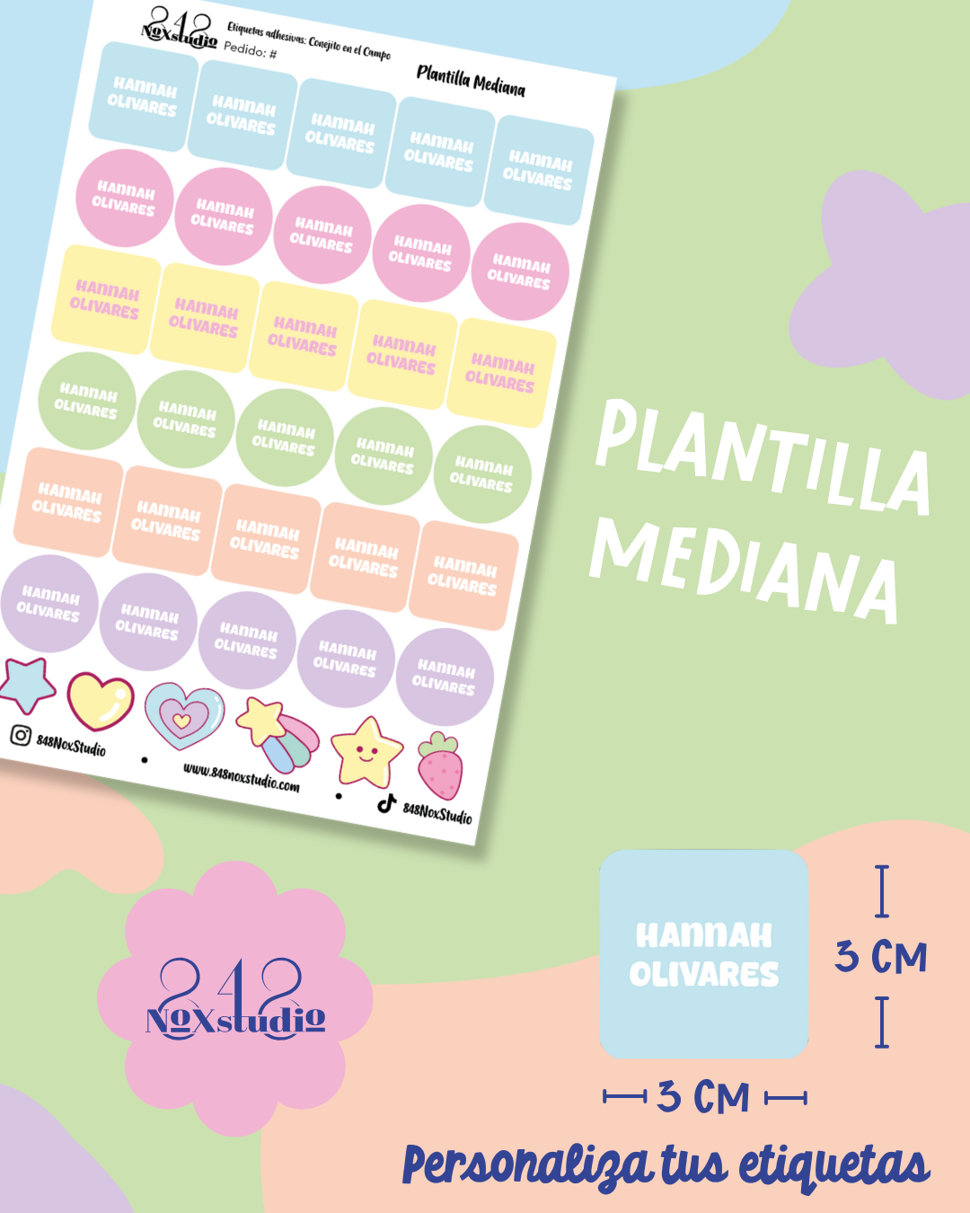 24EA- Conejito en el Campo