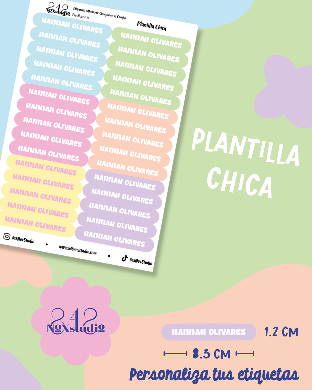 24EA- Conejito en el Campo