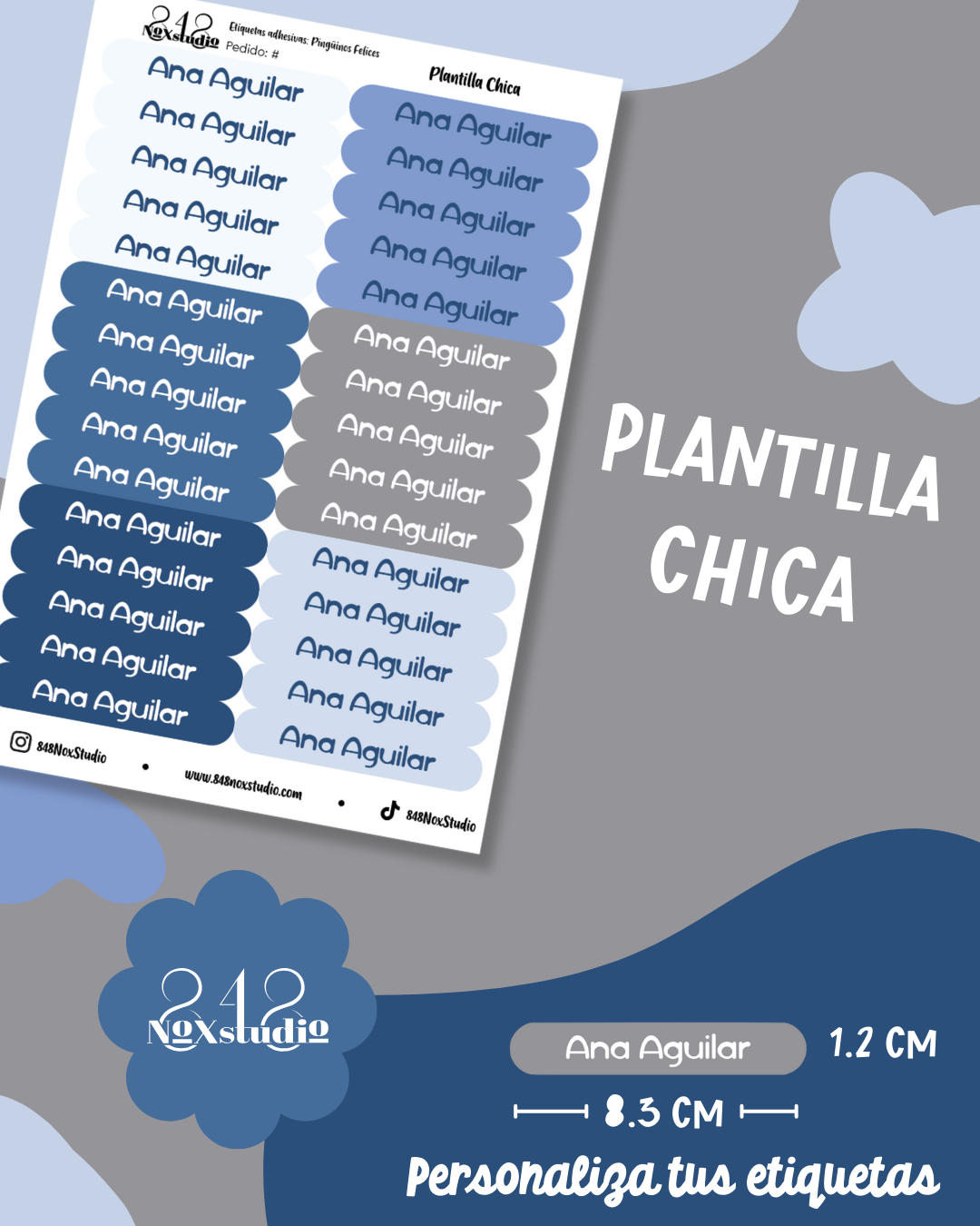 14EA- Pingüinos Felices
