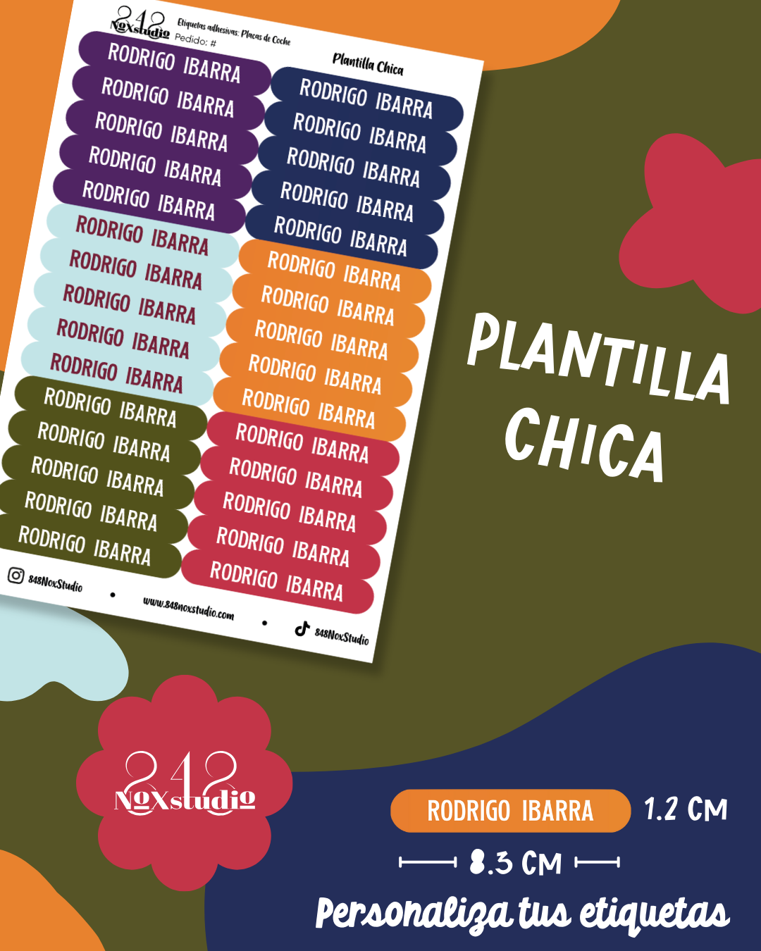 08EA- Placas de Coche