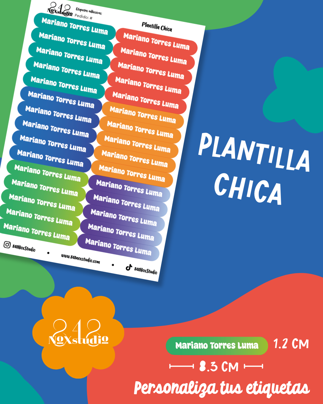 35KITE- Animales Marinos
