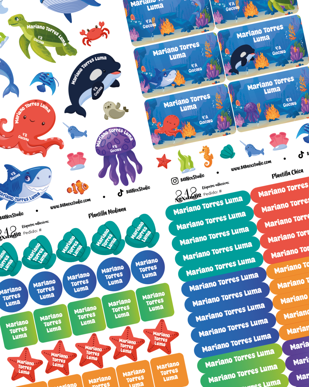 35KITE- Animales Marinos
