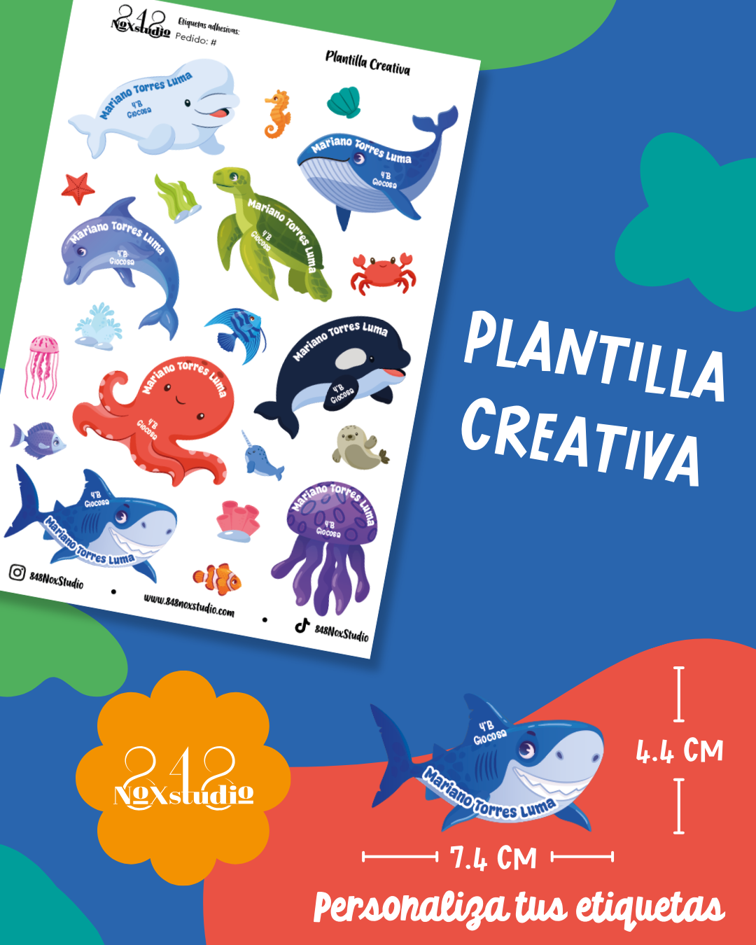 35KITE- Animales Marinos