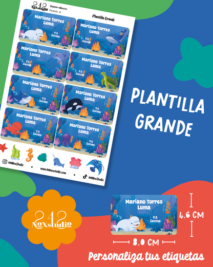 35KITE- Animales Marinos